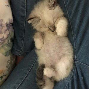 Meet your Posher, Janette